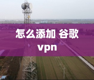 怎么添加 谷歌vpn